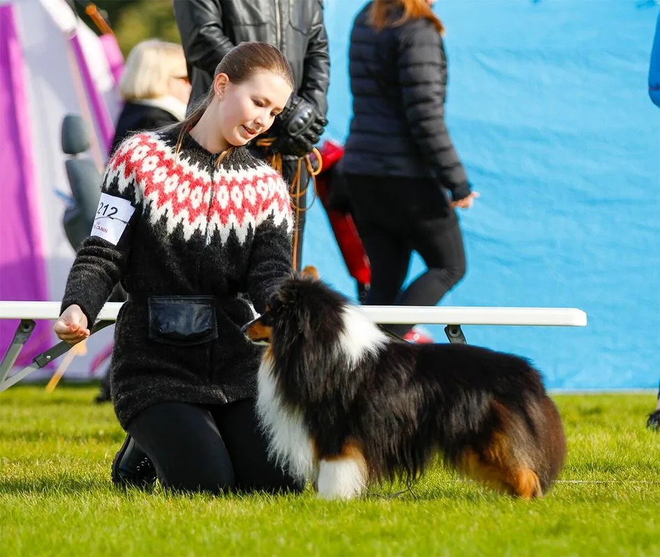 Picture